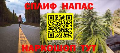 PSILOCYBIN Малгобек