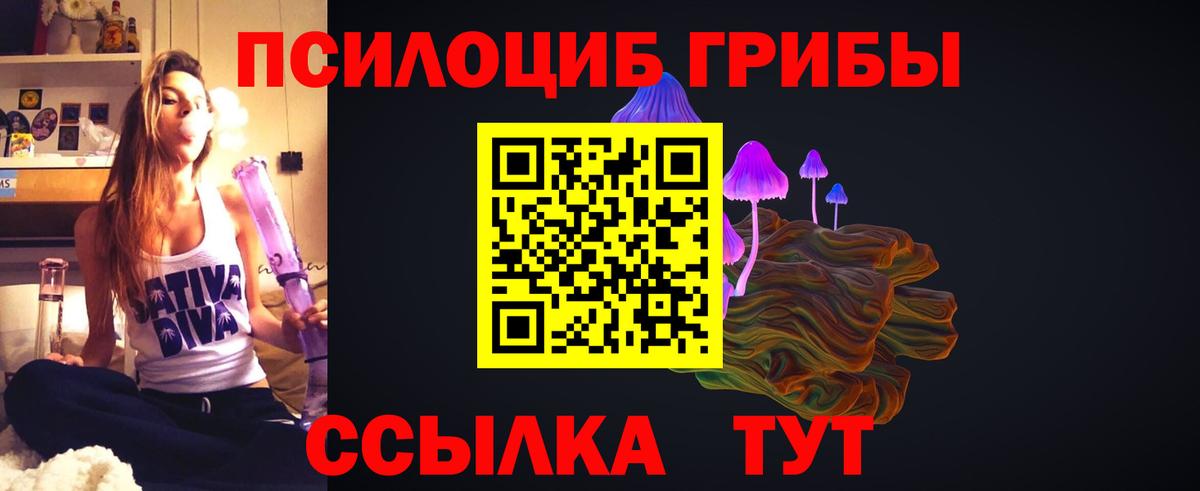 Фролово  Псилоцибиновые грибы Psilocybe  цена наркотик  Псилоцибиновые грибы Magic Shrooms  Вход с VPN 